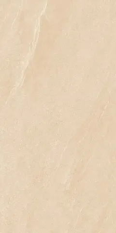 Matte porcelain tile MTM12603, 60 x 120 cm